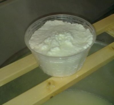 ricotta.jpg