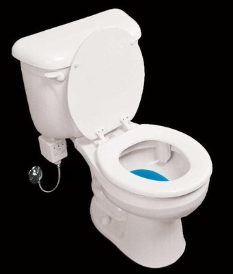 toilet-installed.jpg