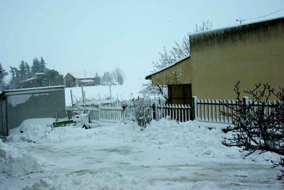 neve di marzo.jpg