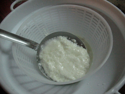 RICOTTA 2.jpg