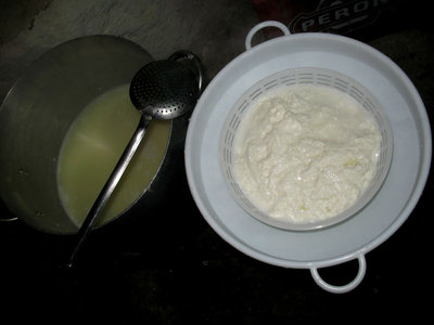 RICOTTA 3.jpg