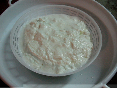 RICOTTA 4.jpg