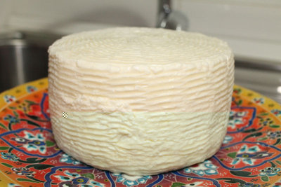 gorgonzola bufala.jpg