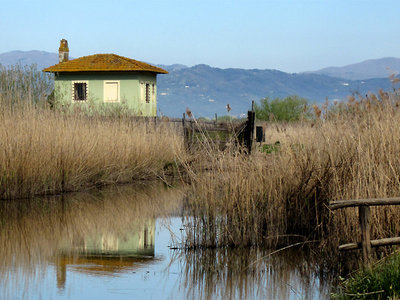 Riserva Naturale osservatorio Le Morette (foto Enrico Zarri).JPG