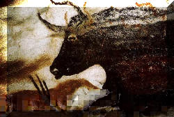 Lascaux2_20.000 -15.000 a. C..jpg