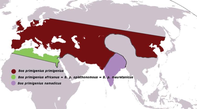 800px-Bos_primigenius_map.jpg