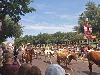 Cattle-Drive-Fort-Worth-via-Zagleft-1024x768.jpg