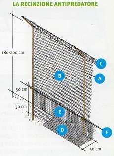 recinzione antipredatore2.jpg