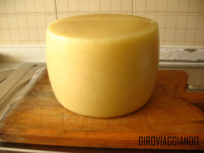 PECORINO SEMICOTTO2.jpg