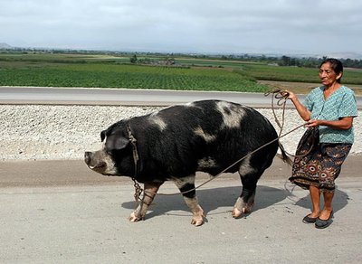 passeggiata.jpg