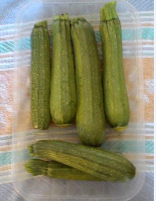 zucchini2.jpg