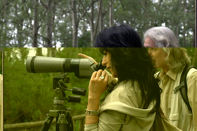 Birdwatching  nel Padule di Fucecchio (foto Sandro Nerucci).JPG