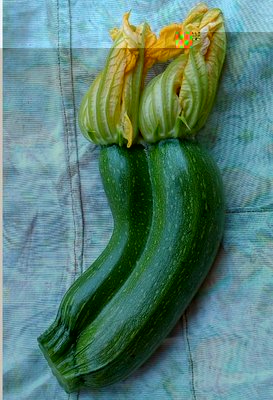 zucchino strano 1.jpg