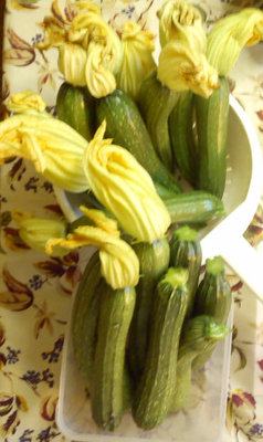 zucchini.jpg