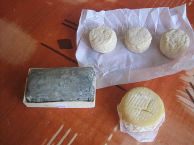 assortimento lattiche.JPG