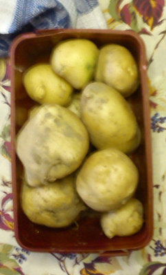 patate.jpg