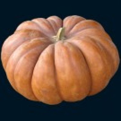 Musquee De Provence Pumpkin-500x500.jpg