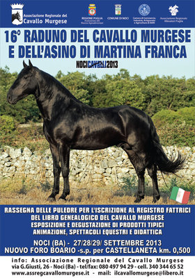 mnifesto_cavallo_murgese_2013_3_blu.jpg