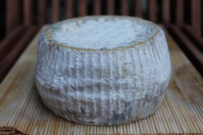 gorgonzola pezzata-bufala-podolica2.jpg