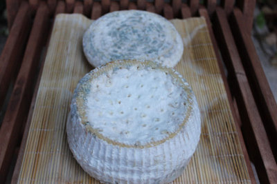 gorgonzola pezzata-bufala-podolica3.jpg