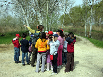 Padule di Fucecchio - Visita naturalistica dell'area protetta.JPG