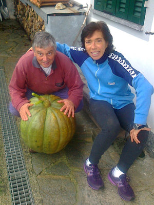 Zucca 2013r.jpg