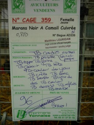 Cage 359 punti 96.jpg