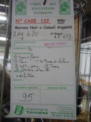 Cage 122 punti 95.jpg