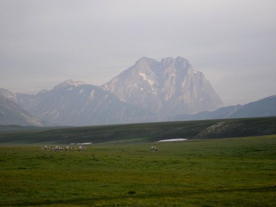 Pascoli del Gran Sasso.jpeg