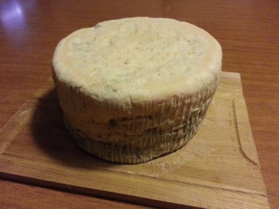 gorgonzola dopo 33 giorni 2014-01-16 18.10.02.jpg