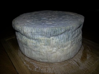 Gorgonzola dopo 33 giorni 2014-01-16 18.10.53.jpg