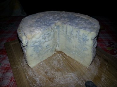 1° gorgonzola 2014-01-17 20.10.48.jpg