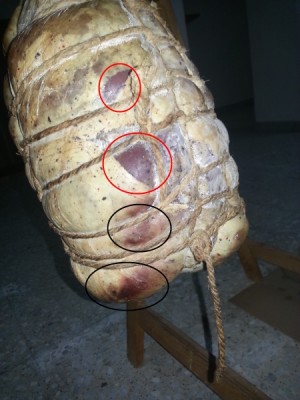 culatello_info.jpg