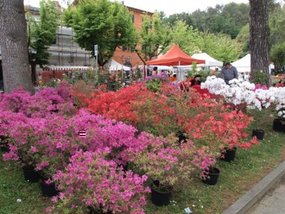 CastelloInFiore_edizione2013_1.JPG