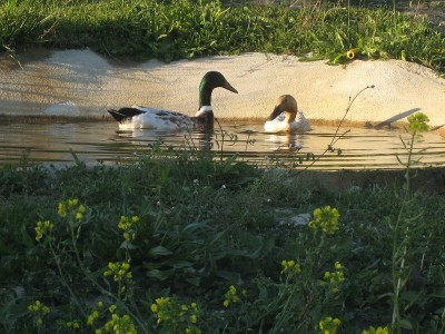 2 alessio e carla - IMG_7489.jpg