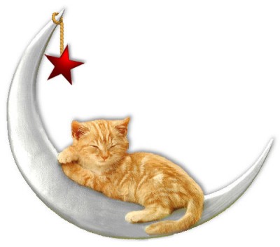 Cat on Moon by Lux.jpg