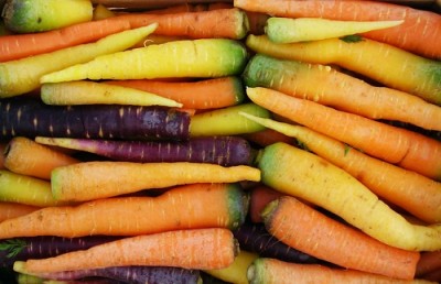 Carota_di_Polignano.jpg