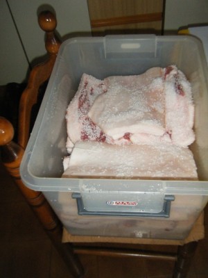 Lardo in essudazione.jpg