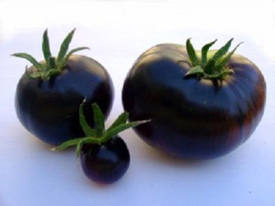 pomodoro-nero.jpg