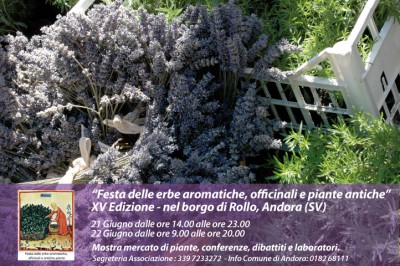 Rollo-Banner-lavanda.jpg