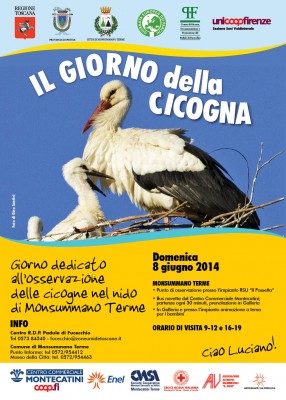 Il giorno della cicogna 2014 a Monsummano Terme.jpg