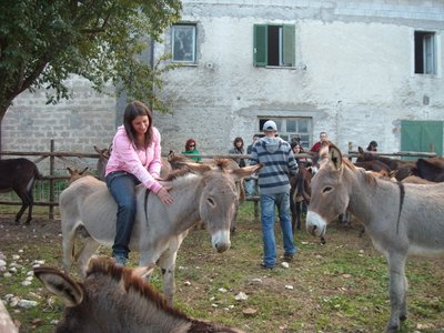 corso imprenditori agricoli.JPG