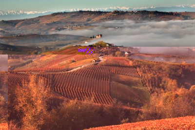 UNESCO_LANGHE.jpg