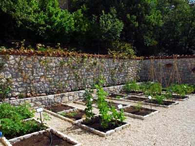 Aiuole dell'Orto Botanico.jpeg