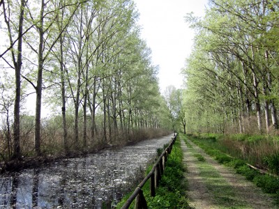 Area Righetti (foto Enrico Zarri).JPG