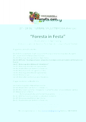 Programma festa Vallombrosa.jpg