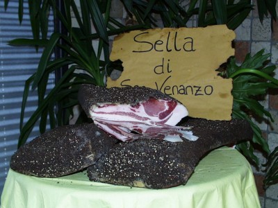 umbria_Sella_san_venanzo.jpg