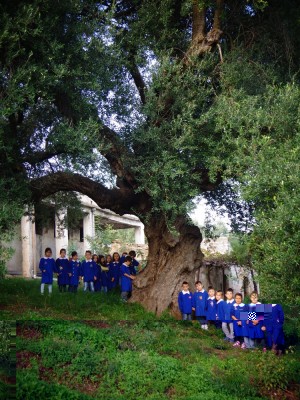 Gli alunni della 1A Scuola Primaria Giannone di Cagnano Varano intornoa  un ulivo di 2000 anni (3).JPG