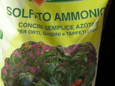 solfato ammionico.JPG