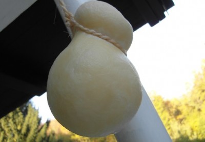 Scamorza2.JPG